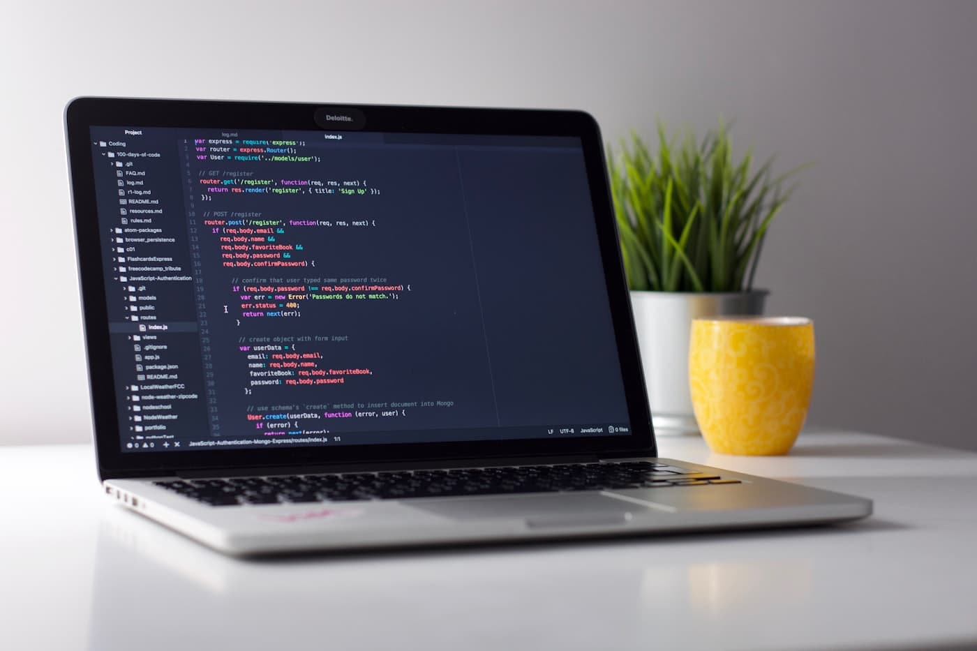 Developer setup